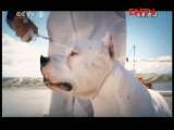 生财有道 [生财有道]世界名犬（上）(20110803)