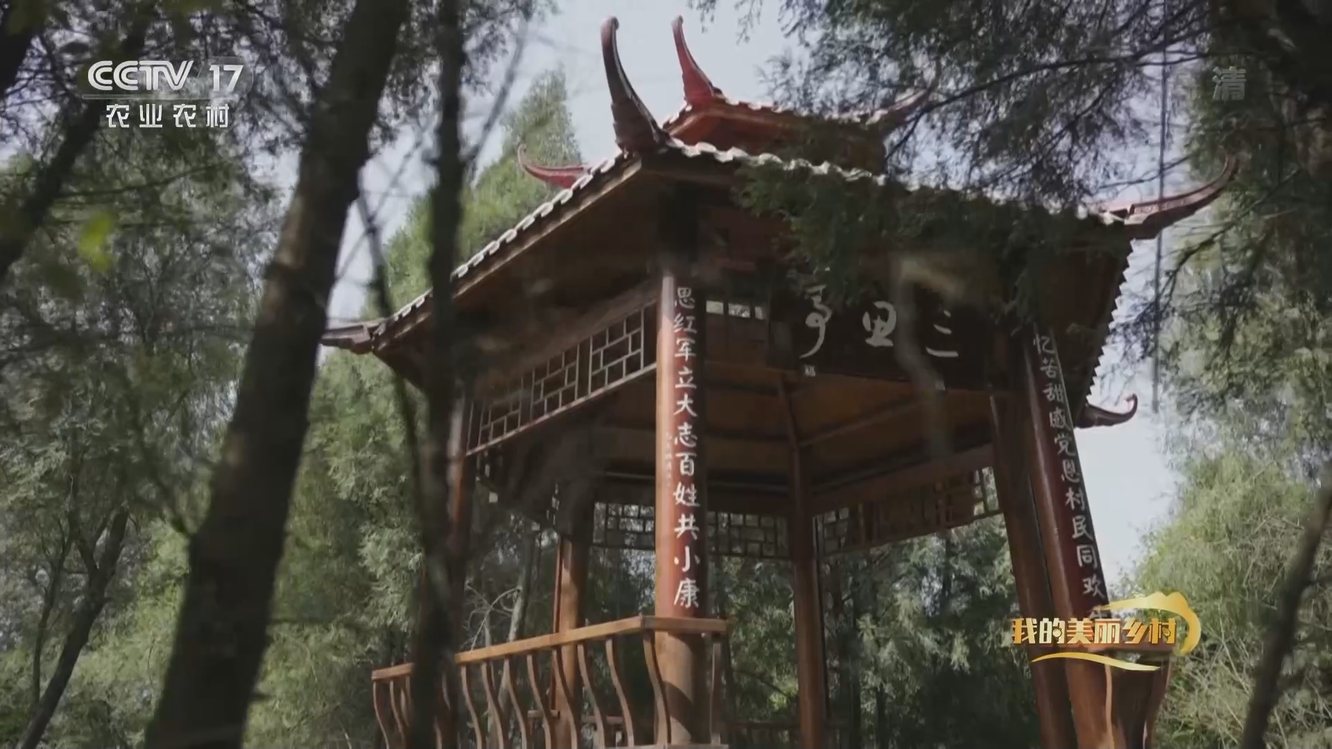 《我的美丽乡村》 20211018 共乡音同乡愁
