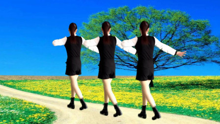 动力64步广场舞《拽妹妹》这歌曲好听，舞步就是拽