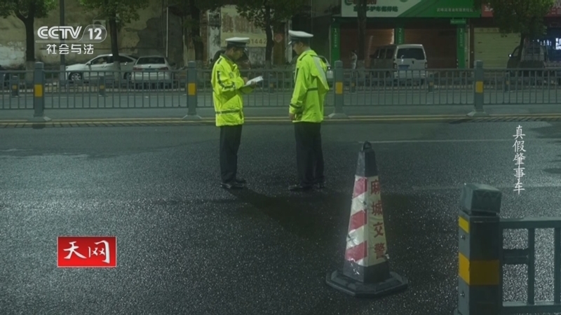 《天网》 20251024 真假肇事车