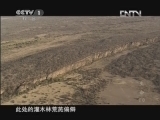 魅力纪录（CCTV-1综合频道） 《魅力纪录》 20120427 生命 第十集 灵长类动物