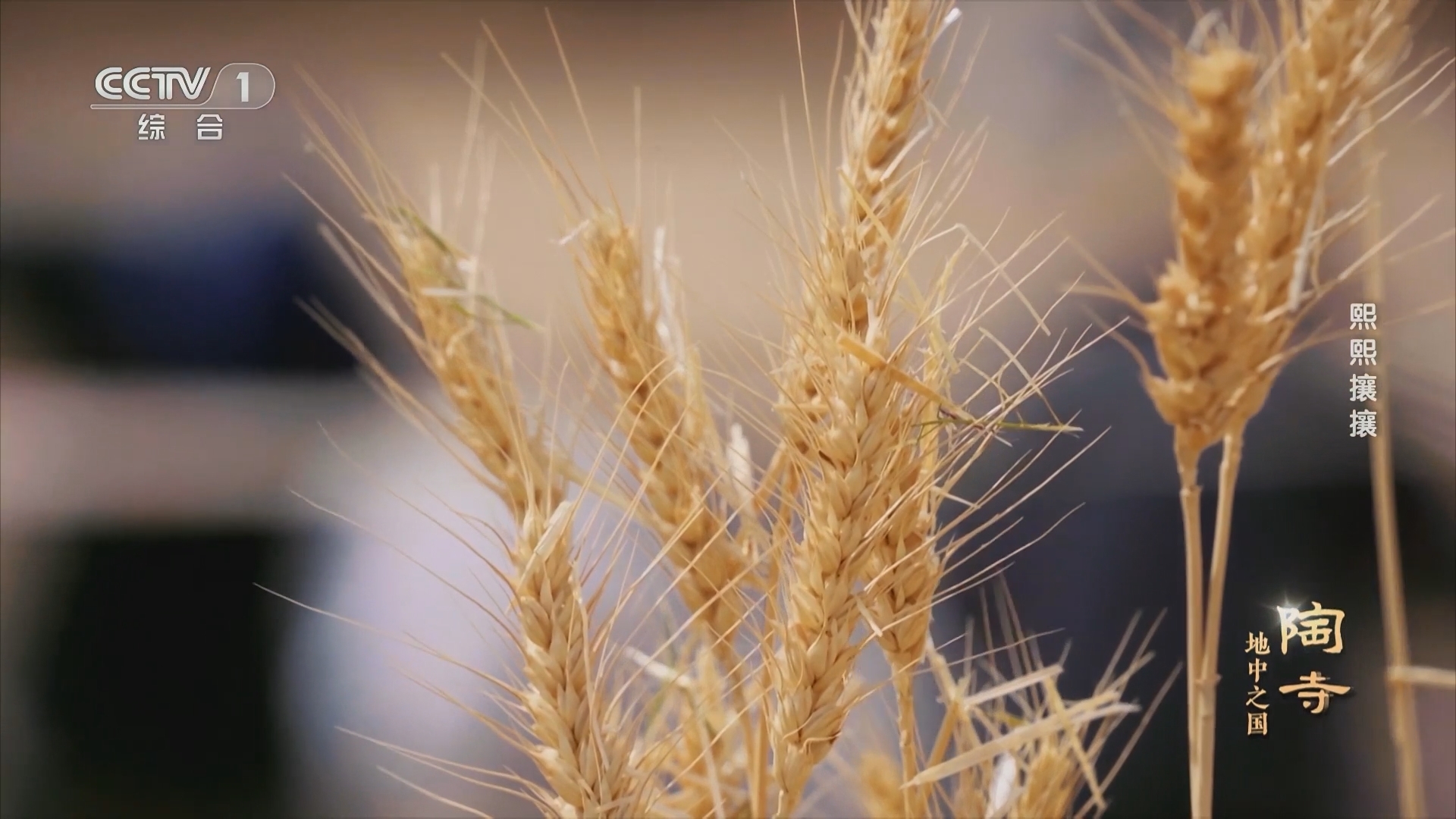 《陶寺 地中之国》 第4集 熙熙攘攘