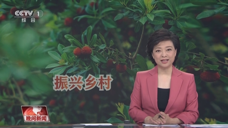 晚间新闻 《晚间新闻》 20230710