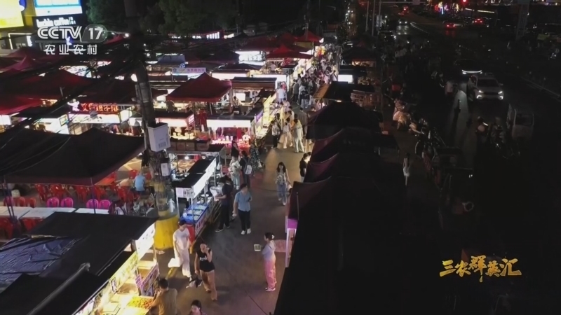 《三农群英汇》 20260221 一碗粉的“新生”