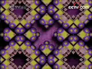 智慧树 智慧树 2008年 第104期