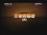 动物世界 《动物世界》 20121126 王者的秘密（六）