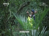 地理中国 《地理中国》 20180829 寻奇天下·山海普陀（上）