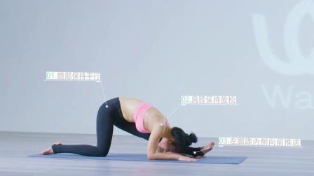 经典体式随时练（一）