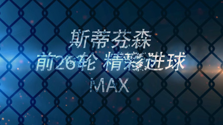 芬森半程精彩进球集锦