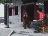 地理中国 《地理中国》 20140419 佛影迷踪