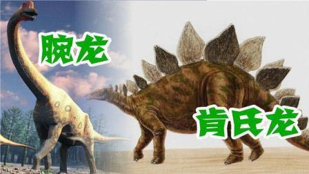 腕龙VS肯氏龙 21