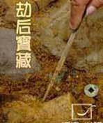 劫后宝藏 海报