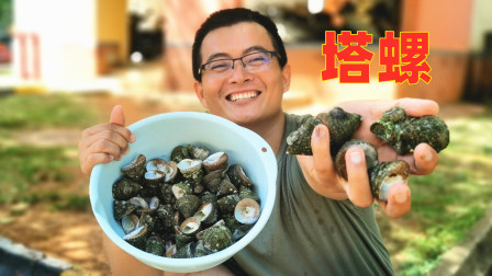 渔夫坐“豪华游艇”去赶海，遍地海胆海螺泛滥，捡太多怕吃不完