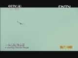 远方的家 百山百川行 第九十七集 藏乡江南新舟曲《远方的家》 20130916