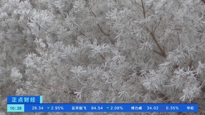 《正点财经》 20260113 10:00