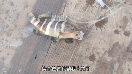 南澳岛赶海日记 彪哥这一天又是钓鱿鱼又跑去钓鱼的，辛苦了一天双重收入，收获还挺丰富的