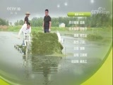 我爱发明 《我爱发明》 20171123 胶林宝刀