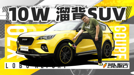 萝卜报告 2020 十万块的SUV 到底香不香？