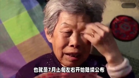民生要点精选 各地养老金调整细则公布以后，定额和挂钩，有什么特点？挺重要的