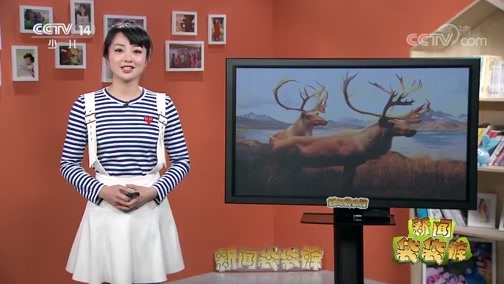 新闻袋袋裤 《新闻袋袋裤》 20190329