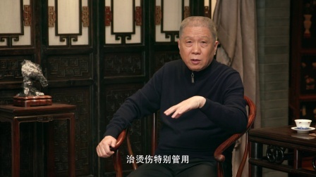 观复贺岁 狗年说狗不撩猫