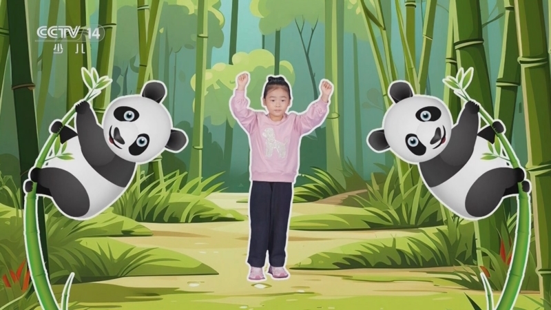 小小智慧树 《小小智慧树》 20231214