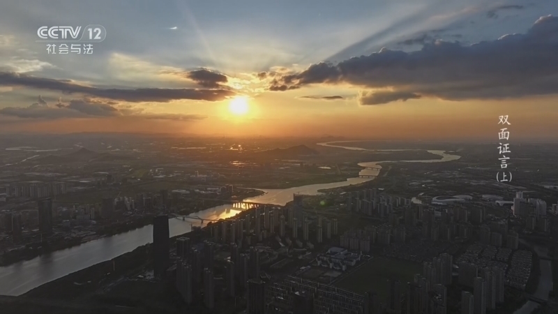 《天网》 20260204 双面证言（上）