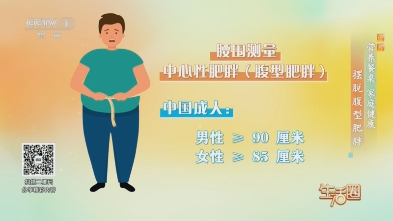 生活圈 《生活圈》 20260520 营养餐桌 家庭健康 摆脱腹型肥胖