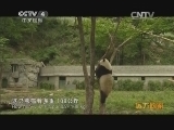 远方的家 特别节目 解码生物基因库《远方的家》 20140410