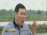 消费主张 《消费主张》 20170529 水产市场消费调查：白蕉海鲈鱼