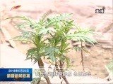 新疆新闻联播 《新疆新闻联播》  20180523