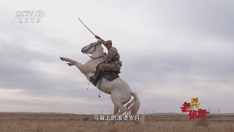 《老兵你好》 20251115 马蹄声声鉴兵心