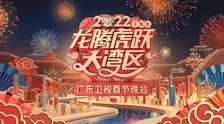 《2022龙腾虎跃大湾区广东卫视春节晚会》海报