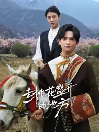 去桃花盛开的地方 海报