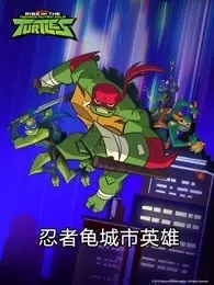 忍者龟城市英雄 海报