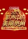 2017贵州卫视鸡年春晚 海报