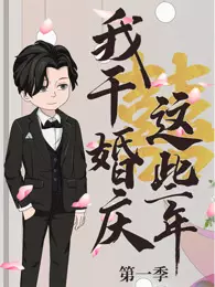 我干婚庆这些年 海报