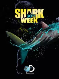 鲨鱼周2018 海报