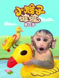 小猴子啵啵 第4季 海报