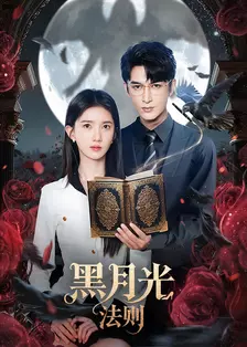 黑月光法则 海报