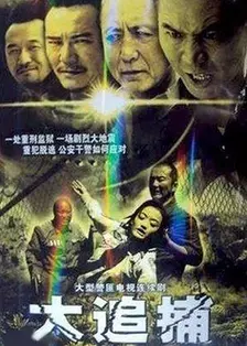 《大追捕（2008）》海报
