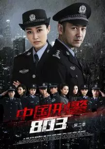 《中国刑警803英雄本色》海报