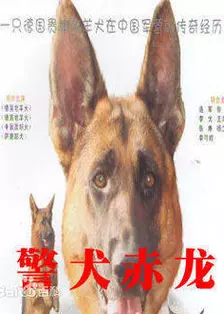 警犬赤龙