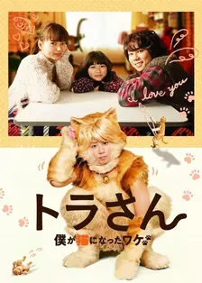 《猫咪小虎》海报