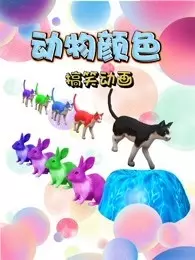 动物颜色搞笑动画 海报