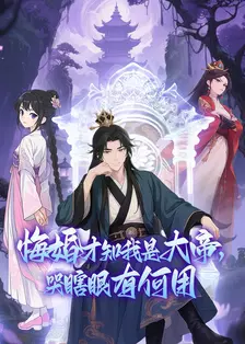 悔婚才知我是大帝，哭瞎眼有何用