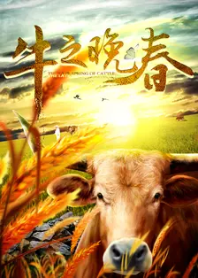 《牛之晚春》海报