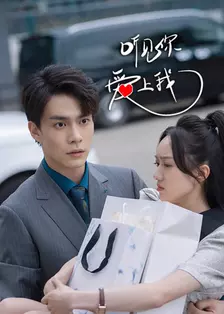 听见你,爱上我 海报