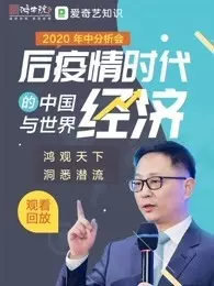 《2020宋鸿兵年中分析会—后疫情时代的中国与世界经济（录播）》海报
