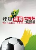 《搜狐视频世界杯特别报道》海报